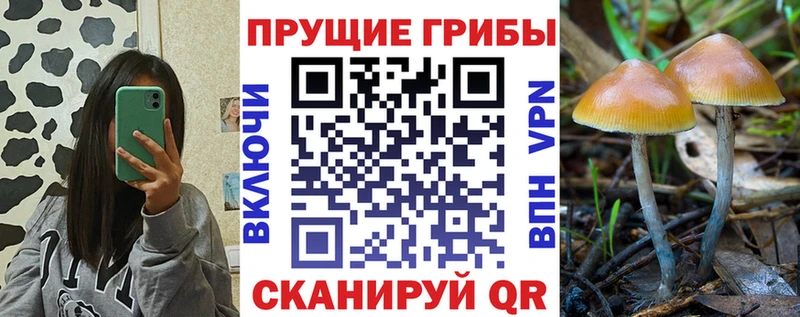 Галлюциногенные грибы Magic Shrooms  Купить закладки  Борисоглебск 